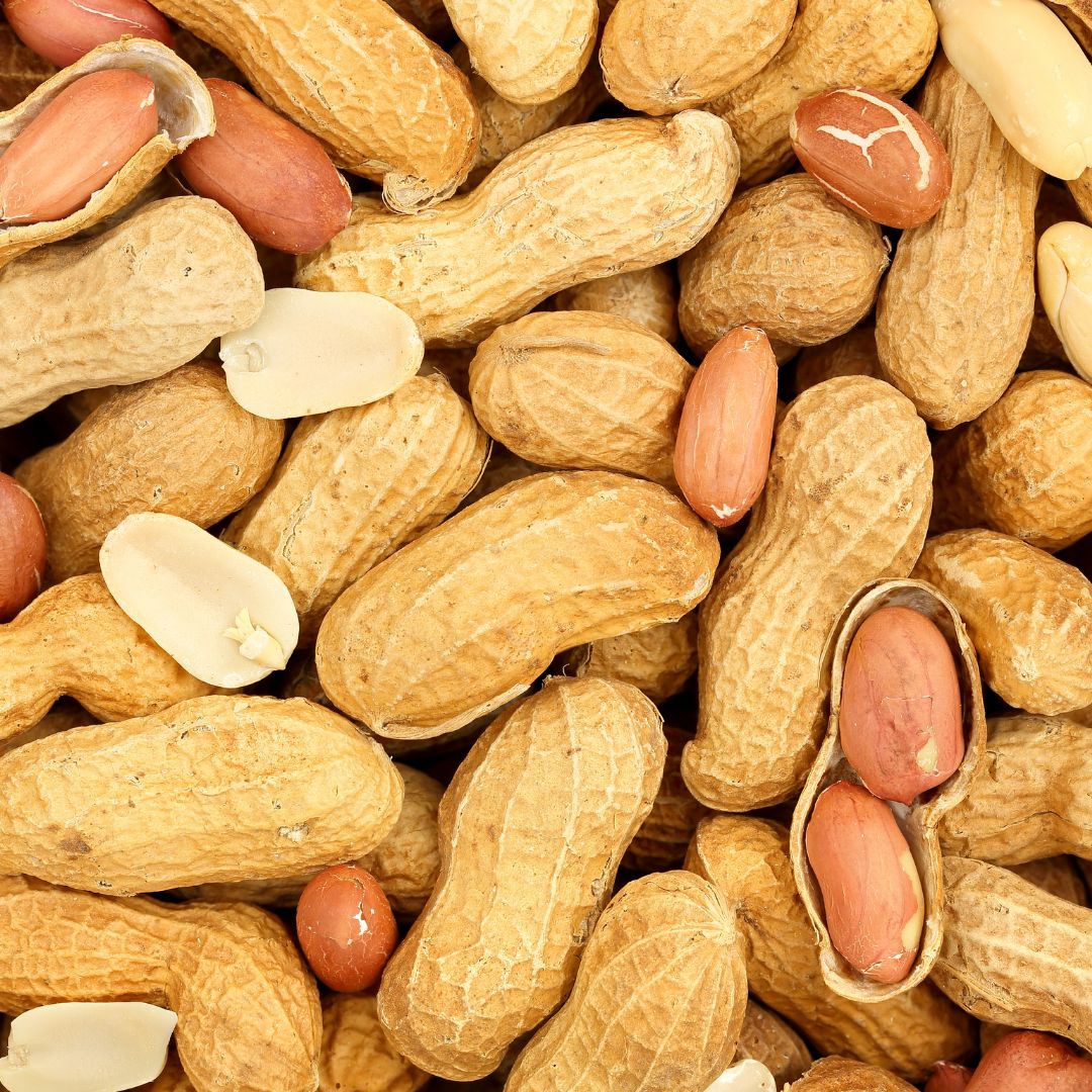 Peanut in Shell (HPS / In-shell)