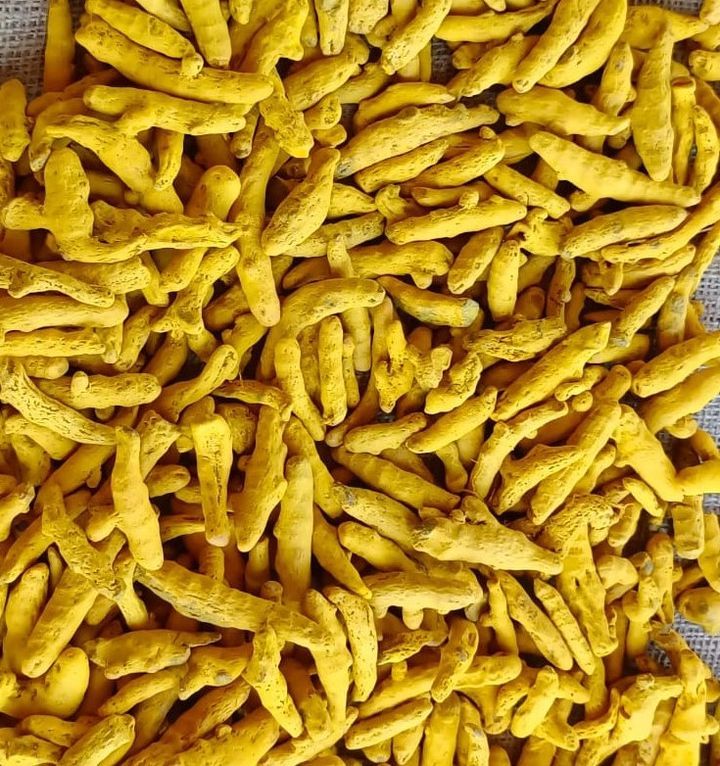 Turmeric Finger